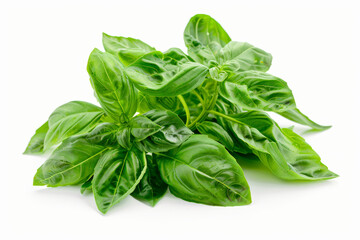 Wall Mural - A bunch of fragrant basil leaves isolated on a white surface, showcasing their aromatic scent and culinary versatility. Concept of herb garden and Italian cuisine. Generative Ai.