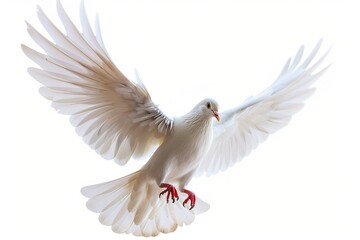 Sticker - flying white dove isolated on white background