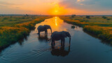 Fototapeta  - Sunset Savanna Elephant Gathering: A Spectacular Drone Capture