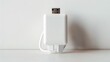 © Muzah - cell phone charger adapter on white background Generate AI