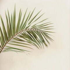 Wall Mural - A leafy green palm tree branch is shown in a white background