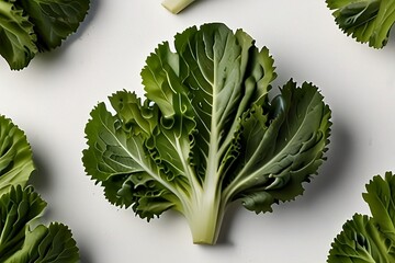 Fresh green leaves of endive frisee top view salad full isolated in field on white background.