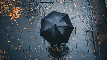 Top-down perspective of a person holding a black umbrella, walking on a wet, rain-soaked pathway, with puddles reflecting the gloomy sky.