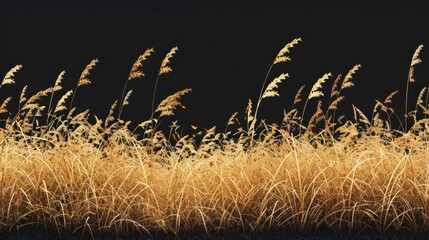 Wall Mural - A field of tall grass with a black background