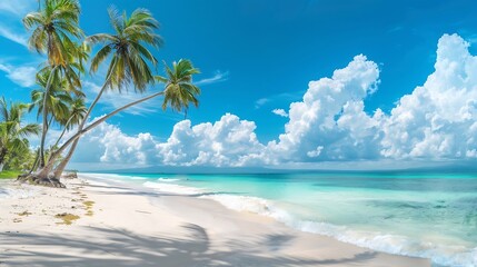 Wall Mural - Beautiful beach with white sand turquoise ocean green palm trees and blue sky with clouds on Sunny day Summer tropical landscape panoramic view : Generative AI
