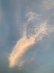 Wall Mural - clouds in the sky