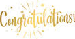 © N2 - Golden congratulations lettering calligraphy