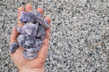 Wall Mural - Purple Lepidolite ore held in hand. Commercial source of Lithium (Li), for lithium-ion batteries.