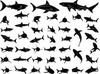 Wall Mural - set of shark silhouettes in different poses on a white background vector