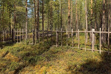 Wooden fence in forest in sunny spring weather.