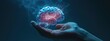 © Anna - brain in hands concept. Selective focus