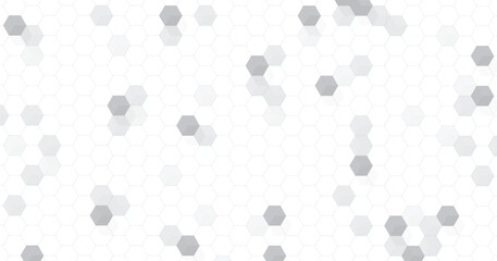 Poster - Hexagon geometric on a white background. Geometric abstract background with simple Hexagon elements.	