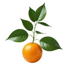 Wall Mural - A orange with stem and leaves isolated on transparent background and 3D render