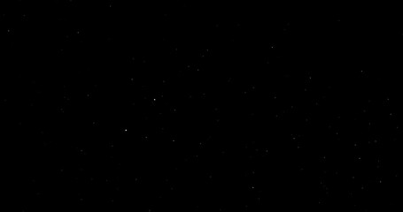 Wall Mural - Natural Organic Dust Particles Floating On Black Background. Dynamic Dust Particles Randomly Float In Space. Shimmering Glittering Dust Particles With Bokeh. Slow motion on Black Background.