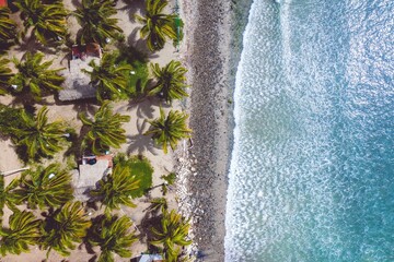 Wall Mural - Aerial view of an idyllic beach with lush greenery along the shoreline