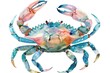© Ева Поликарпова - A detailed watercolor painting of a crab on a white background. Suitable for marine themes or seafood concepts