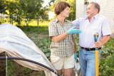 Fototapeta Koty - Elderly couple sets a greenhouse at a garden plot