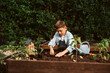 © Halfpoint - Boy taking care of small vegetable plants in raised bed with bare hands. Childhood outdoors in garden.