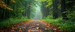 © Starkreal - Wet forest path with scattered yellow leaves, surrounded by lush green foliage and tall trees, glistening leaves with a softly blurred background enhancing depth