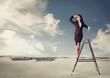 © pathdoc - Businesswoman on a ladder looking faraway in a desert