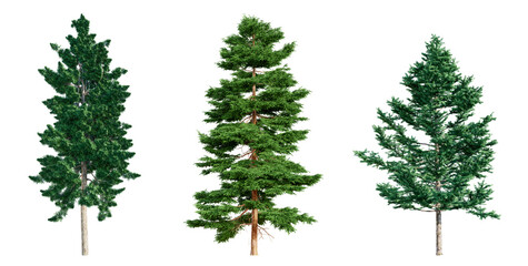 Poster - Set of coniferous trees isolated on transparent background. 3D render.