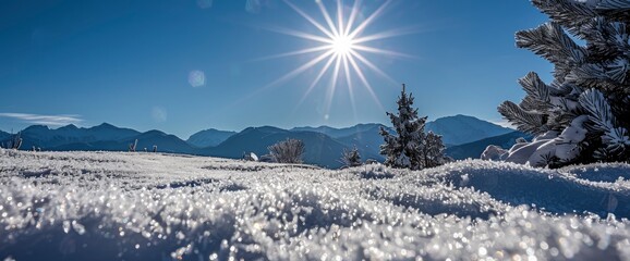 Despite The Cold, The Snow Glistens Under The Bright, Full Sun, Standard Picture Mode