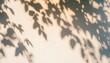 © Ashleigh - shadow of leaves on wall summer tropical nature backdrop sunlight effect branch of tree shadow on concrete white wall grunge and rough surface background beautiful soft blurred natural design