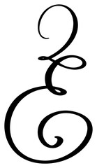 Wall Mural - Vector calligraphy hand drawn letter E. Script font logo icon. Handwritten brush style