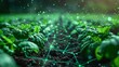 © Tackey - Technology integration in agricultural fields, showcasing green plants with futuristic digital connections and network overlays.
