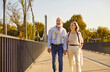 © Studio Romantic - Happy senior smiling retired couple family holding hands while walking along the bridge in city park together enjoying nature. Romance, love, care and elderly people relationship concept.