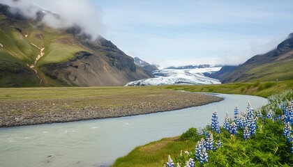 Wall Mural - river from a glacier in iceland