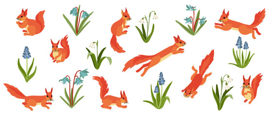 vector drawing squirrels and spring flowers, hand drawn animals isolated at white background , cartoon style characters