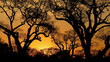 © Alexandre - Silhuetas de árvores encantadoras