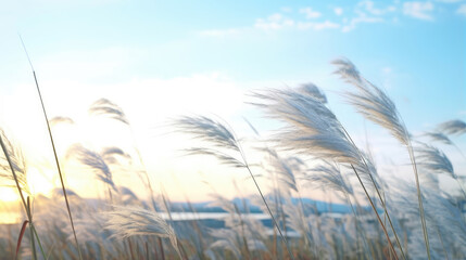 Wall Mural - Serene Sunset Over Whispering Fields