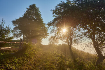 Wall Mural - Beautiful dreamy autumn sunrise rural scenery. Haystacks and trees on a mountain hill with fog.