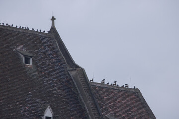 Old Church from Europe