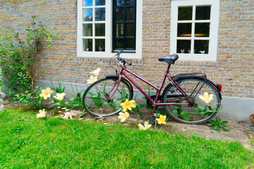 Wall Mural - Old bicycle next to canal of Amsterdam