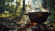 © justjupiter - Cast iron pot simmering over an open fire in a forest