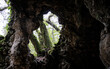 © dfr_design  - cave in nature
