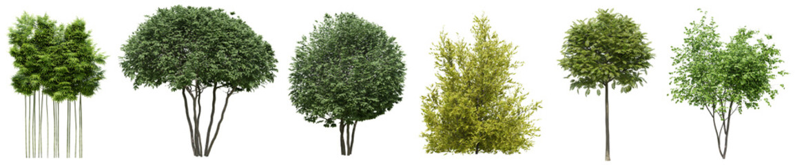 Collection of realistic woods trees with isolated on transparent background. PNG file, 3D rendering illustration, Clip art and cut out