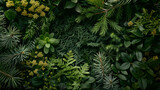 Fototapeta  - Green background with a variety of green plants.