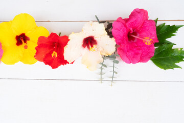 Poster - Tropical flowers and leaves, summer vacational background