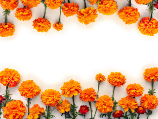 Wall Mural - Orange and red flowers of marigold ( Tagetes ) on a white background with space for text. Top view, flat lay