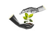 © Igor Link - Robot hand and human hand holding a young plant isolated against free png background. Sustainable development in the field of agriculture and artificial intelligence.