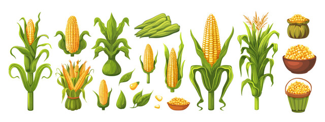 Sticker - Corn cartoon vector set. Cob popcorn seeds stems leaves harvest farming agriculture vegetable plant, illustration isolated on white background