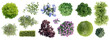 © schab - Different types of garden plants isolated on transparent background. Top view.  3D render.