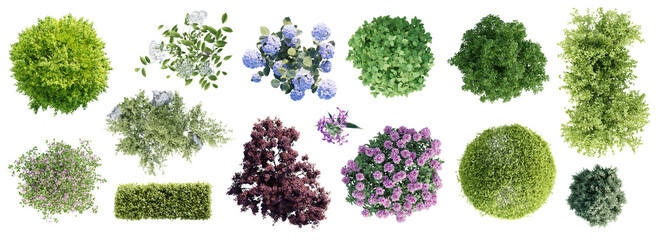 Fototapete - Different types of garden plants isolated on transparent background. Top view.  3D render.