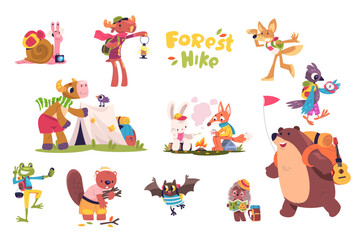 cartoon animals hiking. cute forest animal hike, summer camping books store for kids travel picnic, 