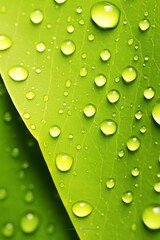 Close-up of water droplets on a green leaf. Vertical image with copy space.