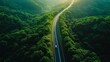 © Hafizh - Aerial top view eco car on forest road. Ecosystem ecology healthy environment road trip travel, Eco car with nature, Electric car and earth EV electrical energy for environment.